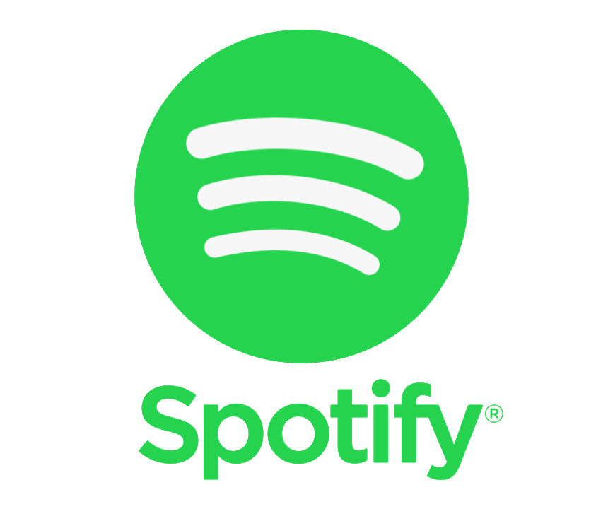 Spotify Promo Packages